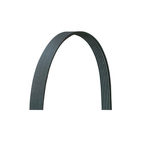 V-Ribbed Belt Drive Rite Belt,5040350Dr